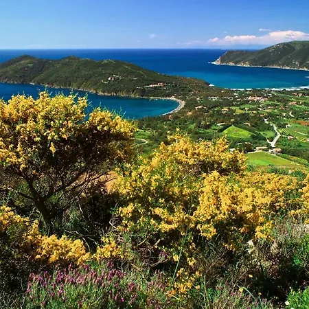 Appartamento La Rada - Monolocale In Zona Tranquilla San Giovanni (Isola d'Elba)
